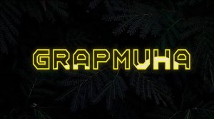 WIFI PROLINI BUZISH // ULANGAN WIFI PAROLINI BILISH