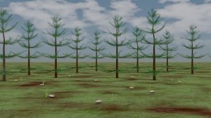 КОЛОБОК 2.0 КОЛОБОК И БЫЛИНА