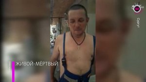 Мегаполис - Свидетельство о смерти - Сургут