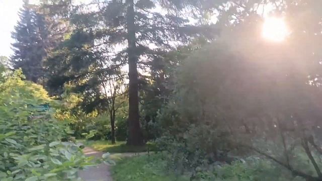 В Ботаническом саду на Петроградке в СПб июль 2021 смотреть онлайн