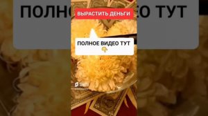 ВЫРАСТИТЬ ДЕНЬГИ #онлайн #ритуал #светланаведа #shorts