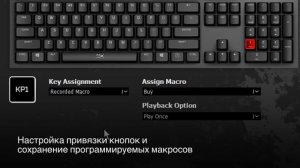 HyperX NGenuity – ПО для настройки HyperX RGB, макросов и профилей