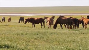 Заповедник «Ростовский» - Ростовская область