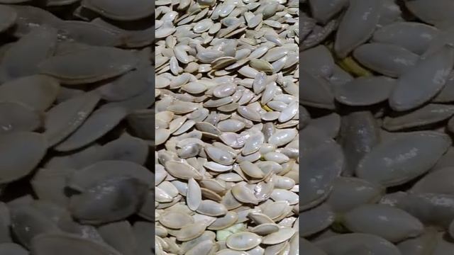 гарбузова сушка в роботі смотреть онлайн