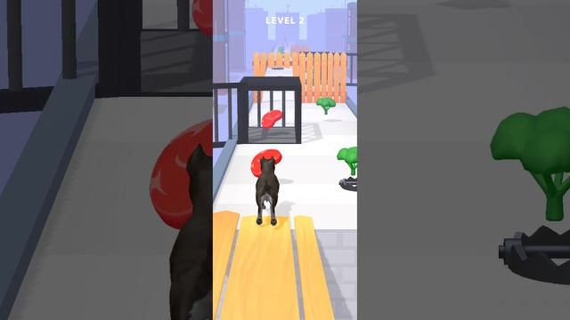 Doggy Run Game Walkthrough | Level iOS, android, google?❤️| New Update смотреть онлайн