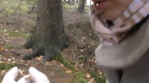 Штальхельм и девушка с лопатой.Весёлый коп или "золото ли это?"!!!