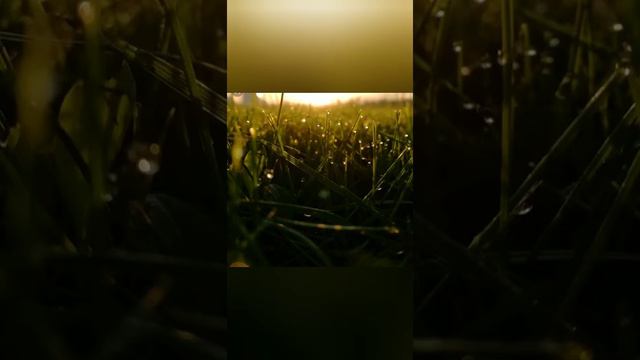 Урок музичного мистецтва. Казкова Норвегія