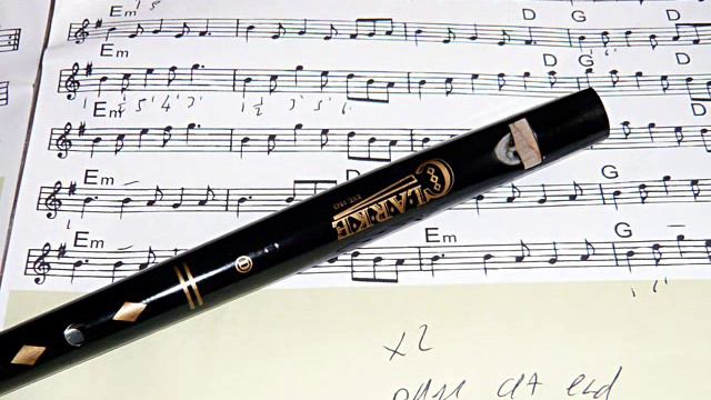 Raggi dov' è'l mio bene played by Penny Whistle Trio (tin whistle) смотреть онлайн