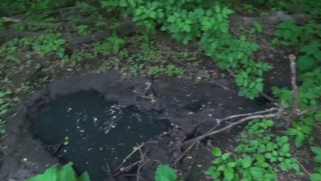 Село нечистоты Житомирщина смотреть онлайн