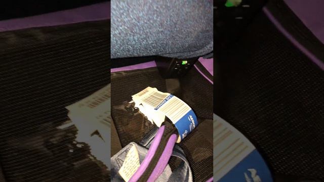 Документы для путешествия с питомцем из России в Таиланд🇹🇭 #cat смотреть онлайн