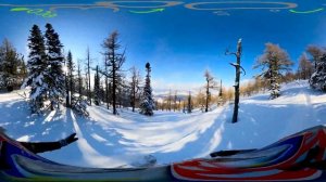 Солнечный дикий лес - Панорамное VR видео 360 - Горы - Природа