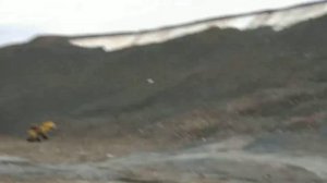 Арктика Северная земля остров Большевик