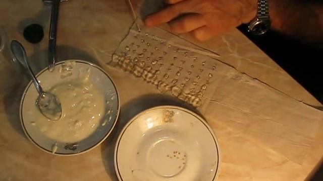 Посадка помидоров "СКАЗКА" на рассаду смотреть онлайн