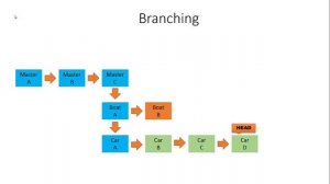 Learn Git 25: Intro to Branches