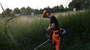 Nowy nabytek Stihl FS-490 C-EM first mowing