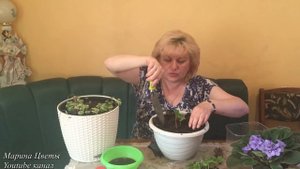 Ампельная клубника . Особенности подкормки .