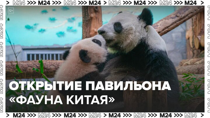 Павильон "Фауна Китая" открылся в Московском зоопарке - Москва 24