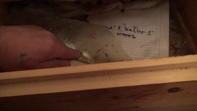 Два месяца зимовки Свежие новости