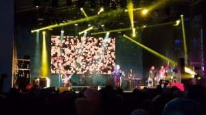 Наташа Королева-Жёлтые тюльпаны.