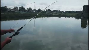 Мощная Деревенская Рыбалка Крупный Сазан