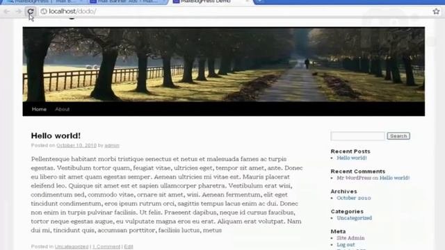 WordPressTutorials.TV WordPress Tutorial MaxBlogPress Banner Ad Plugin