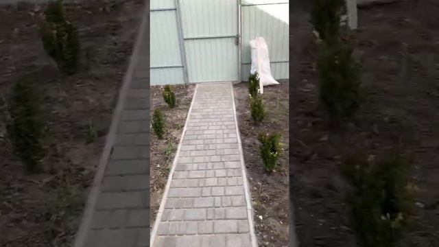 Затирка плитки, установка дверей смотреть онлайн