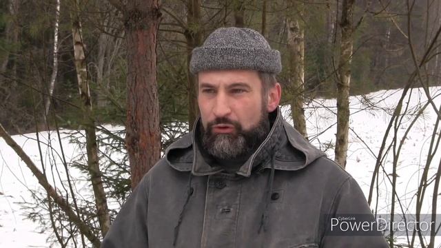 ВЫБИРАЕМ СЕНО ч.2//Какое лучше? Вскрываем...смотрим смотреть онлайн