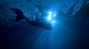 РУСАЛКИ НА САМОМ ДЕЛЕ МОГУТ СУЩЕСТВОВАТЬ! ИСТОРИЧЕСКИЕ ФАКТЫ