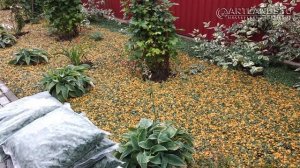 Цветной декоративный щебень для ландшафтного дизайна. Подборка примеров использования