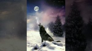 Блатной удар - Одинокий Волк