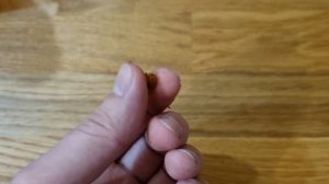 Вместо мотыля для зимней рыбалки, насадка для зимней рыбалки на всю рыбу, зимняя рыбалка