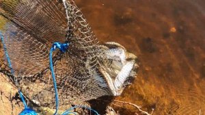 Рыбалка на Северном Канале Кострома