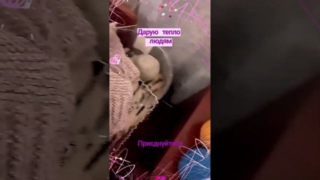 Дарую тепло людям.