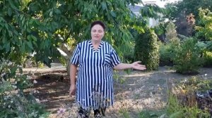 Мавританский газон – природный, луговой, разнотравный и экзотический!