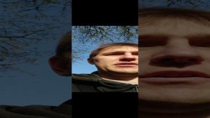 Дерево или звукосниматели? Взгляд на вопрос с точки зрения механики.