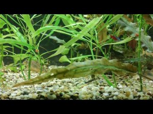 ОБЩЕНИЕ С ПОДПИСЧИКАМИ