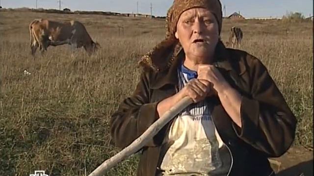 Профессия - репортер Сожители поневоле