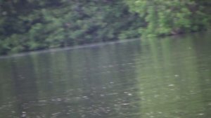 нижняя москва река рыбалка в чулково хороший отдых часть 1