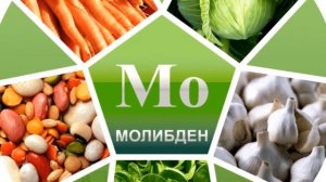Молибден: для чего он