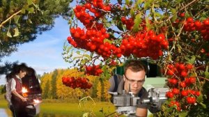 ОЙ РЯБИНА КУДРЯВАЯ! ДЕВЯТОВА МАРИНА.