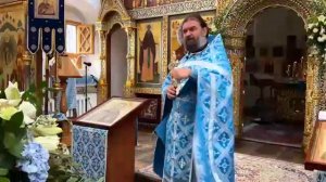 Половина знаний не нужна детям. Не для оценок живет человек. Протоиерей Андрей Ткачев.