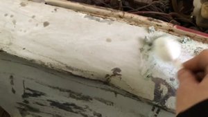 Сравнение уничтожителей Краски