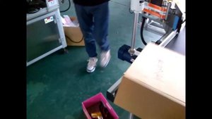 ? Автоматическая машина для маркировки больших картонных коробок LM-12 Minipress.ru