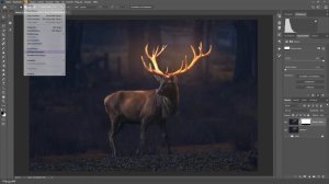 The secret Deer - Photoshop CC 2021 Manipulation