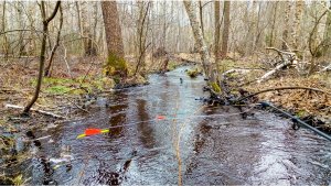 ОТКУДОВА на ЭТОМ ЛЕСНОМ РУЧЬЕ, ТАКАЯ РЫБА! Рыбалка на боковой кивок в 2022