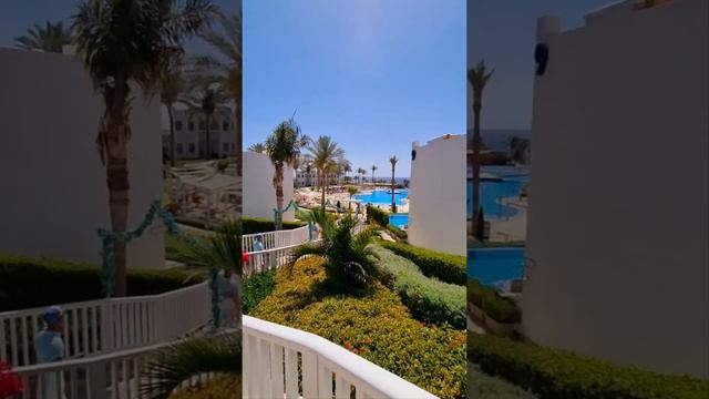 Обзор отеля Sunrise diamond beach resort sharm(Шарм-Аль-шейх) очень хороший отель, смотрим обзор🥭🌶👌 смотреть онлайн