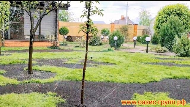 Запуск системы автоматического полива и регулировка