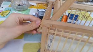 Обзор ловушки для птиц