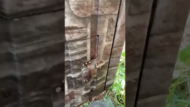 Экология Камчатки. Торфяной туалет, устройство, очистка.