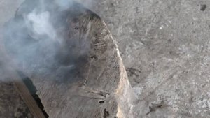 Дубовый лист ковка